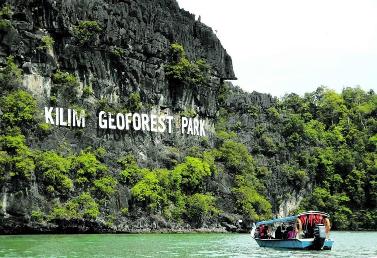 Jelajahi Mangrove Langkawi: Petualangan Alam yang Menakjubkan